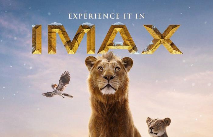 إيرادات فيلم Mufasa:The Lion King ترتفع لـ 300 مليون دولارالإثنين 30/ديسمبر/2024 - 04:00 م
أفلام ديزني ، ارتفعت إيرادات فيلم ديزني الجديد Mufasa: The Lion King ، إلى 300 مليون دولار، في شباك التذاكر العالمي. وطرح ديزني النسخة الحالية من فيلم Mufasa: The Lion King، رسميا للمشاهدة في صالات السينما بتاريخ ١٩ ديسمبر ٢٠٢٤. تفاصيل فيلم ديزني Mufasa: The Lion King وتدور أحداث فيلم ديزني