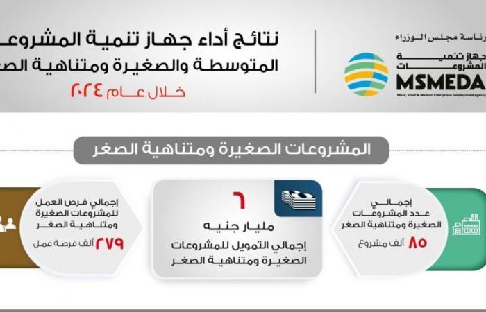 باسل رحمي: تنمية المشروعات ضخ 6 مليارات جنيه لتمويل قطاع المشروعات الصغيرة خلال 2024الأربعاء 01/يناير/2025 - 12:26 م
أكد باسل رحمي الرئيس التنفيذي لجهاز تنمية المشروعات،حرص الجهاز على مواصلة جهوده خلال عام 2025 وضخ المزيد من التمويلات اللازمة لدعم قطاع المشروعات المتوسطة والصغيرة ومتناهية الصغر