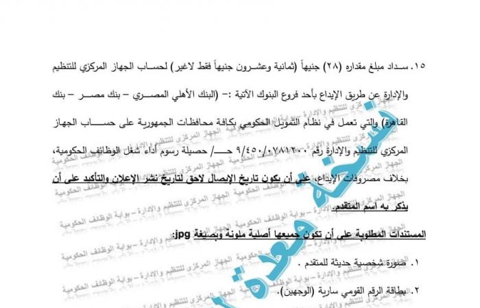 وظائف السكك الحديدية لعام 2025، تعرف علي الشروط والأوراق المطلوبة للتقديمالخميس 02/يناير/2025 - 07:00 م
أعلن الجهاز المركزي للتنظيم والإدارة، برئاسة الدكتور صالح الشيخ، عن حاجة الهيئة القومية لسكك حديد مصر التابعة لوزارة النقل .