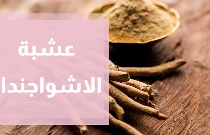 فوائد الأشواجندا، لتحسين وظائف الدماغ والذاكرة وتقوية المناعةالخميس 02/يناير/2025 - 07:00 م
فوائد الأشواجندا، المعروفة أيضًا بـ الجينسنح الهندي ، مذهلة، فهي من الأعشاب الطبيعية التي تُستخدم منذ آلاف السنين في الطب الهندي التقليدي (الأيورفيدا).