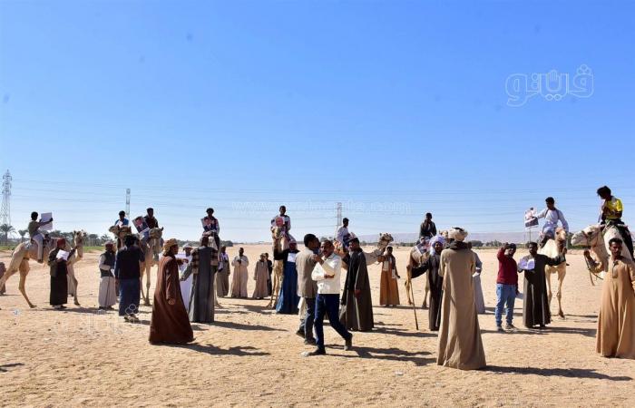 محافظ الأقصر يشهد انطلاق بطولة سباق الهجن بإسنا (صور)السبت 04/يناير/2025 - 06:58 م
شهد المهندس عبدالمطلب عماره، محافظ الأقصر، اليوم السبت، انطلاق بطولة سباق الهجن بمضمار حاجر المساوية بمركز إسنا، والذي ينظمه الاتحاد المصرى لرياضة سباق الهجن بالتعاون مع مديرية الشباب والرياضة بالأقصر