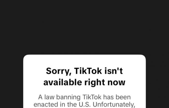 Tik Tok للأمريكيين: "آسفون.. التطبيق غير متاح الآن"