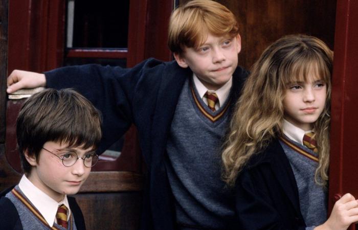 مخرج Harry Potter يصف مسلسل HBO المجدد بأنه ’فكرة مذهلة‘