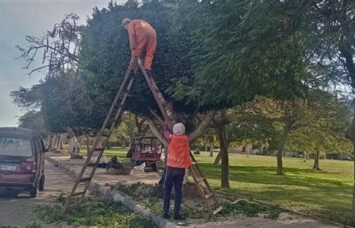 الإسماعيلية تستعد لاستقبال ضيوف مهرجان الأفلام التسجيلية "صور"الجمعة 24/يناير/2025 - 06:49 م
في إطار الجهود التي تقوم بها الأحياء والوحدات المحلية والأجهزة التنفيذية في محافظة الإسماعيلية للعمل على إنهاء كافة الاستعدادات النهائية الخاصة باستقبال ضيوف مهرجان الأفلام التسجيلية