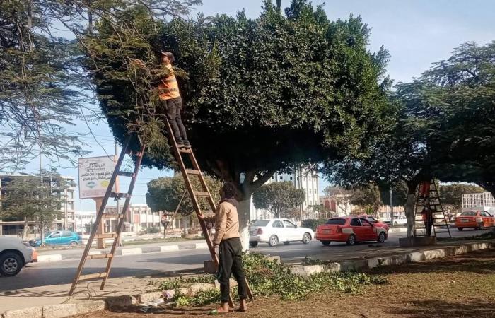 الإسماعيلية تستعد لاستقبال ضيوف مهرجان الأفلام التسجيلية "صور"الجمعة 24/يناير/2025 - 06:49 م
في إطار الجهود التي تقوم بها الأحياء والوحدات المحلية والأجهزة التنفيذية في محافظة الإسماعيلية للعمل على إنهاء كافة الاستعدادات النهائية الخاصة باستقبال ضيوف مهرجان الأفلام التسجيلية