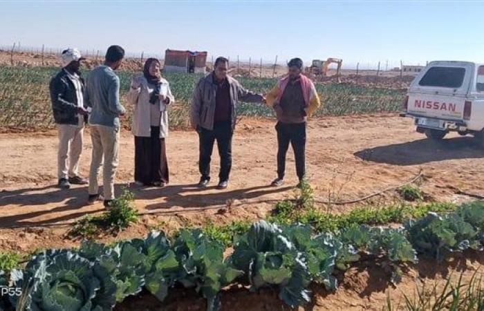 الفرق البحثية بمركز بحوث الصحراء تقدم الدعم الفني والإرشادي للمزارعين في سيناءالسبت 01/فبراير/2025 - 01:07 م
أكد الدكتور حسام شوقي رئيس مركز بحوث الصحراء، أن الفرق البحثية التابعة للمركز تقوم بجولات ميدانية في شمال وجنوب سيناء لتقديم كافة الخدمات الزراعية للمزارعين في التجمعات الزراعية والمناطق المتاخمة لها.