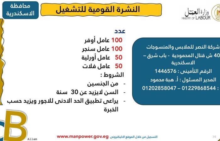 وزارة العمل: توفير 1575 فرصة عمل جديدة 12 محافظةالإثنين 03/فبراير/2025 - 10:01 ص
أصدرت وزارة العمل اليوم الإثنين، نشرة التوظيف نصف الشهرية ،التي تُعلن فيها عن فرص عمل جديدة في المحافظات ،تنسيقًا مع شركات القطاع الخاص.