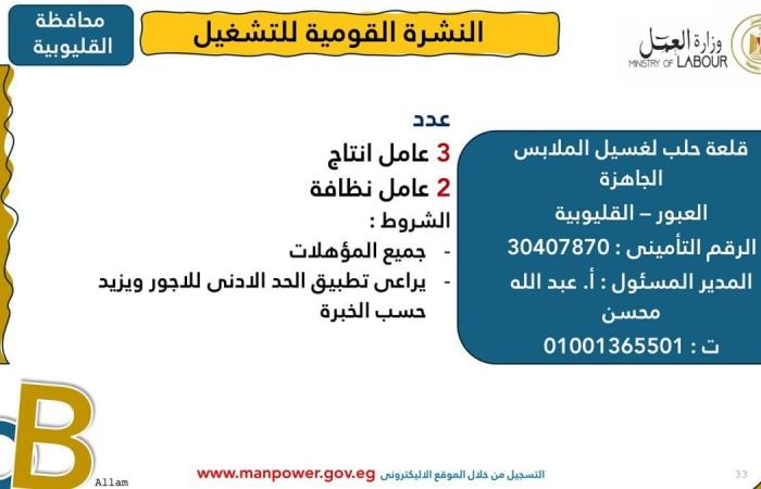 وزارة العمل: توفير 1575 فرصة عمل جديدة 12 محافظةالإثنين 03/فبراير/2025 - 10:01 ص
أصدرت وزارة العمل اليوم الإثنين، نشرة التوظيف نصف الشهرية ،التي تُعلن فيها عن فرص عمل جديدة في المحافظات ،تنسيقًا مع شركات القطاع الخاص.