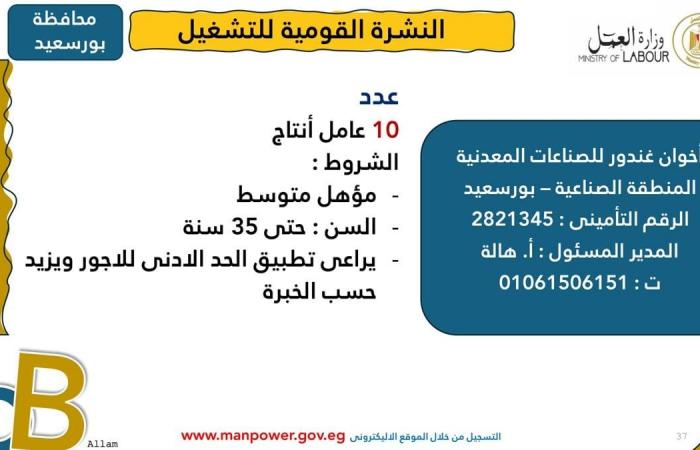 وزارة العمل: توفير 1575 فرصة عمل جديدة 12 محافظةالإثنين 03/فبراير/2025 - 10:01 ص
أصدرت وزارة العمل اليوم الإثنين، نشرة التوظيف نصف الشهرية ،التي تُعلن فيها عن فرص عمل جديدة في المحافظات ،تنسيقًا مع شركات القطاع الخاص.