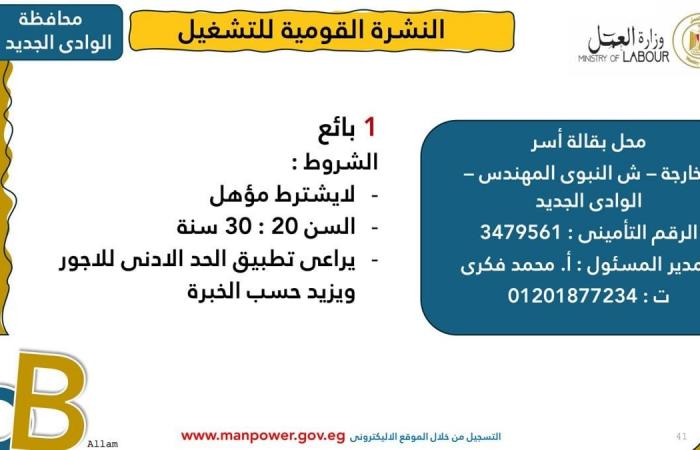 وزارة العمل: توفير 1575 فرصة عمل جديدة 12 محافظةالإثنين 03/فبراير/2025 - 10:01 ص
أصدرت وزارة العمل اليوم الإثنين، نشرة التوظيف نصف الشهرية ،التي تُعلن فيها عن فرص عمل جديدة في المحافظات ،تنسيقًا مع شركات القطاع الخاص.