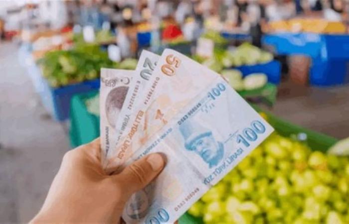 5.03 % ارتفاع التضخم الشهري في تركيا