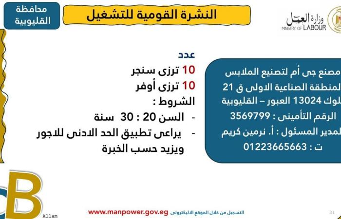 وزارة العمل: توفير 1575 فرصة عمل جديدة 12 محافظةالإثنين 03/فبراير/2025 - 10:01 ص
أصدرت وزارة العمل اليوم الإثنين، نشرة التوظيف نصف الشهرية ،التي تُعلن فيها عن فرص عمل جديدة في المحافظات ،تنسيقًا مع شركات القطاع الخاص.