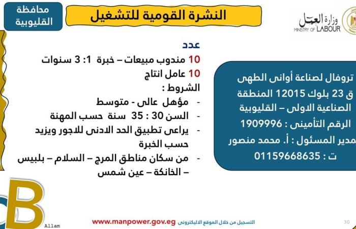 وزارة العمل: توفير 1575 فرصة عمل جديدة 12 محافظةالإثنين 03/فبراير/2025 - 10:01 ص
أصدرت وزارة العمل اليوم الإثنين، نشرة التوظيف نصف الشهرية ،التي تُعلن فيها عن فرص عمل جديدة في المحافظات ،تنسيقًا مع شركات القطاع الخاص.