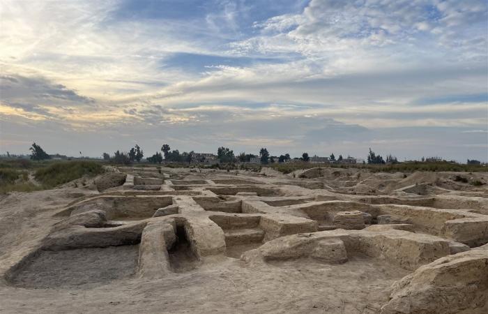 ثكنات عسكرية وصوامع غلال، تل الأبقعين بالبحيرة بوابة رمسيس الثاني لحماية مصر (صور)الثلاثاء 04/فبراير/2025 - 04:57 ص
تعد منطقة تل الأبقعين الأثرية بمحافظة البحيرة من أهم الاكتشافات الأثرية في الاونة الأخيرة ، حيث أعلنت وزارة السياحة والآثار المصرية في السابق عن اكتشاف منطقة تل الأبقعين الأثرية