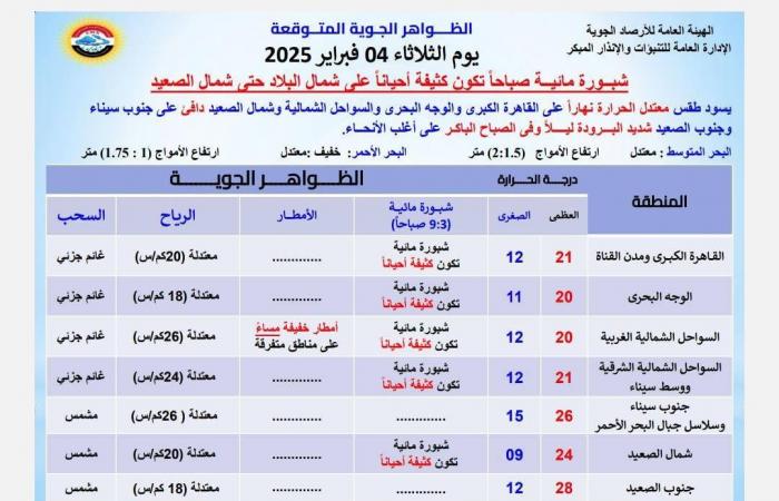 كوكتيل لم تشهده مصر، تحذير غير مسبوق من الأرصاد بشأن التقلبات الجوية خلال 24 ساعةالثلاثاء 04/فبراير/2025 - 06:13 ص
الطقس اليوم، حذرت الهيئة العامة للأرصاد الجوية، من حالة الطقس اليوم الثلاثاء 4 فبراير 2025، مؤكدة أن طقس اليوم يشهد تقلبات جوية وبرودة شديدة. تقلبات جوية كما أشارت هيئة الأرصاد الجوية إلى أنه اعتبارًا من غد الأربعاء تسود حالة من عدم الاستقرار الجوي حتى الخميس 6 فبراير. وقالت الأرصاد الجوية في بيانها،