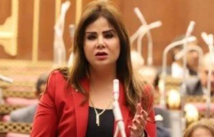 أمل رمزي: بيان الخارجية حكيم وقوى.. وحصن منيع ضد محاولات انتهاك حقوق الشعوب