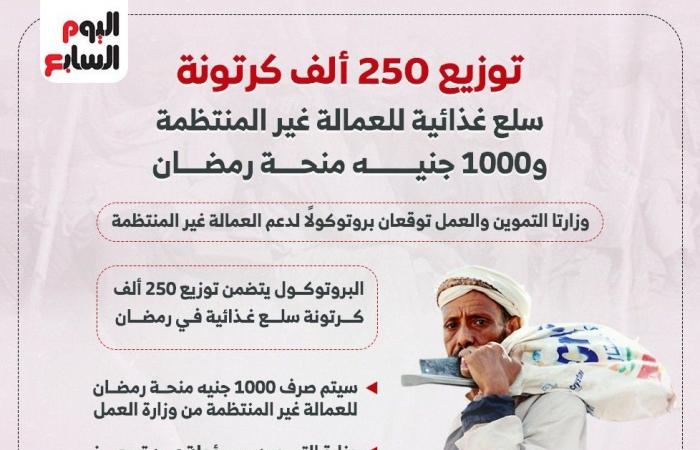 250 ألف كرتونة سلع غذائية و1000 جنيه منحة رمضان للعمالة غير المنتظمة.. تفاصيل