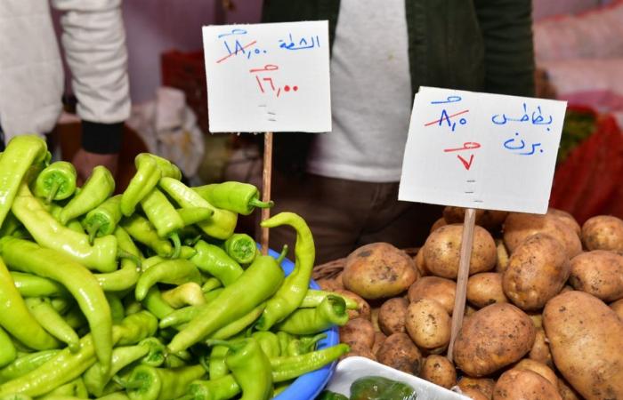 محافظ الدقهلية يفتتح معرض أهلا رمضان بمدينة ميت غمر (صور)الخميس 13/فبراير/2025 - 06:22 م
محافظ الدقهلية يفتتح معرض أهلا رمضان بمدينة ميت غمر