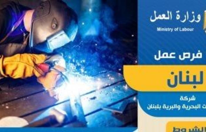 وزير العمل يعلن فرص توظيف فى لبنان بمرتبات تصل إلى 750 دولار شهريا