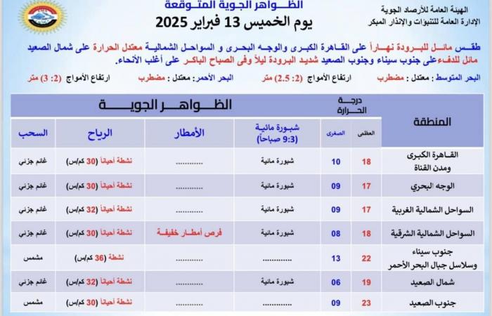 بيان هام من الأرصاد بشأن طقس اليوم، رياح وشبورة تضرب المحافظات وأمطار بهذه المنطقةالخميس 13/فبراير/2025 - 07:33 ص
الطقس الآن، حذرت الهيئة العامة للأرصاد الجوية، من حالة الطقس اليوم الخميس 13 فبراير 2025، مشيرة إلى عودة الشبورة المائية يصاحبها سقوط أمطار ورياح نشطة تغطي معظم أنحاء الجمهورية. حالة الطقس اليوم وتوقعت هيئة الأرصاد الجوية، أن تشهد حالة الطقس اليوم طقسًا مائلًا للبرودة نهارًا على القاهرة الكبرى والوجه