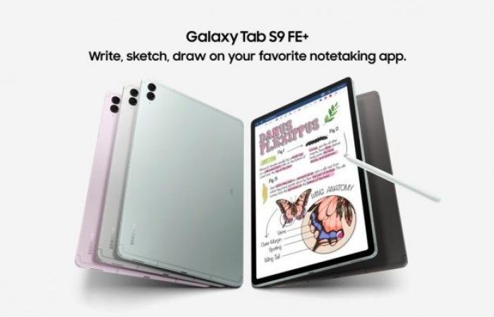 تسريب أحجام شاشة وذاكرة Galaxy Tab S10 FE و S10 FE+ مع سعات التخزين