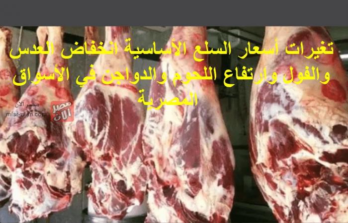 تغيرات أسعار السلع الأساسية انخفاض العدس والفول وارتفاع اللحوم والدواجن في الأسواق المصرية