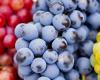 عصير العنب يخفي "فيتامين ك" الرائع بين حباته لكنه يسبب جلطة مع بعض الأدوية