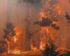 ارتفاع نسبة المساحات المُحترقة بغابات تونس بنسبة 322% بسبب تغيرات المناخ
