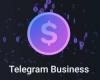 تقرير: حسابات Telegram Business مفتوح الآن لجميع مستخدمي Premium