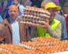 ‫وزارة الزراعة تطلق 10 منافذ متحركة لبيع كرتونة بيض المائدة بـ140 جنيها