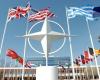 الناتو يكشف حقيقة وجود خطط لنشر أسلحة نووية إضافية في الدول الأعضاءالثلاثاء 23/أبريل/2024 - 07:24 م
أعلن الأمين العام لحلف الناتو ينس ستولتنبرج، أن الحلف ليس لديه خطط لنشر أسلحة نووية إضافية في الدول الأعضاء.